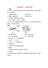 初中生物人教版 (新课标)七年级下册第一节 流动的组织──血液课后练习题