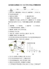 山东省泰安市肥城市2021-2022学年六年级上学期期末生物试题（word版含答案）