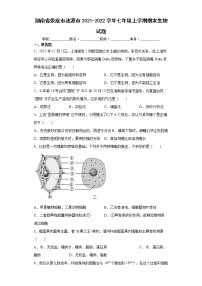 湖南省娄底市涟源市2021-2022学年七年级上学期期末生物试题（word版含答案）