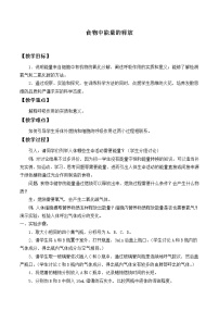 北师大版七年级下册第1节  食物中能量的释放教学设计