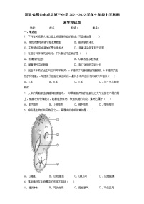 河北省邢台市威县第三中学2021-2022学年七年级上学期期末生物试题(word版含答案)