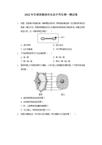 2022年甘肃省陇南市礼县中考一模生物试卷(word版含答案)