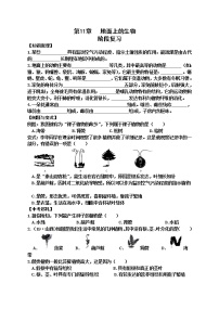 初中生物苏科版七年级下册第11章 地面上的生物综合与测试学案