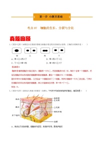 考点07 细胞的生长、分裂与分化- 《三步冲刺中考 生物》之第1步小题夯基础