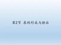 初中生物北师大版七年级下册第2节 尿的形成与排出课前预习ppt课件