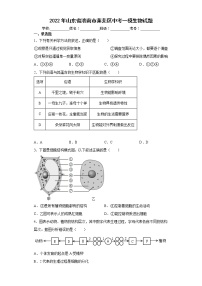 2022年山东省济南市莱芜区中考一模生物试题(word版含答案)