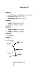 北师大版八年级下册第3节 植物的主要类群教学设计