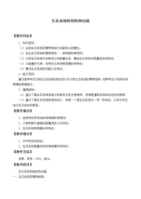 初中生物北师大版八年级下册第3节 生态系统的结构和功能教学设计