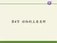 初中生物北师大版八年级下册第4节 动物的主要类群备课课件ppt
