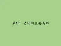 生物八年级下册第4节 动物的主要类群备课ppt课件