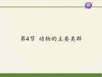 北师大版八年级下册第4节  动物的主要类群课文配套课件ppt