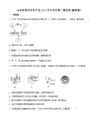 精品解析：山东省泰安市东平县2020年中考二模生物试题（解析版+原卷板）