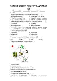 河北省保定市安新县2021-2022学年七年级上学期期末生物试题(word版含答案)