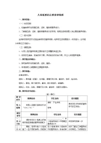 苏教版七年级下册第一节 人体需要的主要营养物质教案