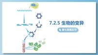 人教版 (新课标)八年级下册第七单元 生物圈中生命的延续和发展第二章  生物的遗传和变异第五节 生物的变异课文配套ppt课件