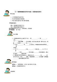 初中生物第2单元 生物体的结构层次第3章 细胞是生命活动的基本单位第一节 植物细胞的结构和功能教学设计