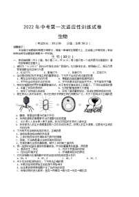 2022年广西桂林市灌阳县中考第一次模拟考试生物试题(word版含答案)