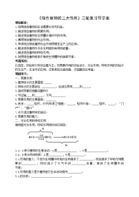 2022年人教版生物中考二轮复习学案——绿色植物的三大作用