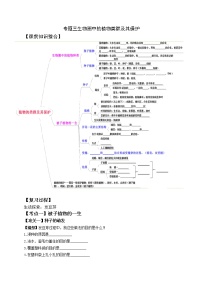 2022年人教版生物中考二轮复习导学案：专题三生物圈中的植物类群及其保护
