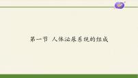 初中生物苏教版七年级下册第4单元 生物圈中的人第11章 人体内的废物排人环境第一节 人体泌尿系统的组成教学演示ppt课件