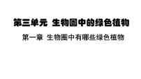 初中人教版 (新课标)第一节 藻类、苔藓和蕨类植物教案配套ppt课件