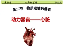 初中生物济南版七年级下册第二节 物质运输的器官课堂教学ppt课件