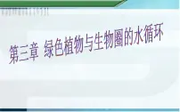 人教版 (新课标)七年级上册第三单元 生物圈中的绿色植物第三章 绿色植物与生物圈的水循环课文配套课件ppt
