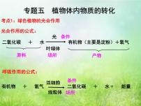 2022年中考复习：专题五《植物体内物质的转化》课件