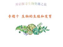 2022年人教版生物中考复习-专题十《生物的生殖和发育》课件