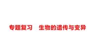 初中生物人教版 (新课标)八年级下册第二章  生物的遗传和变异综合与测试复习课件ppt