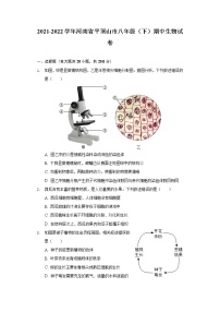 河南省平顶山市2021-2022学年八年级下学期期中生物试卷(word版含答案)