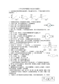 2022年中考生物专题复习：呼吸、循环、泌尿、消化四大系统综合训练题（无答案）