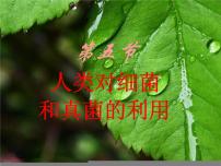 鲁科版 (五四制)七年级下册第五节 人类对细菌和真菌的利用教学演示ppt课件