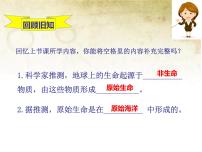冀教版八年级下册第二节  生物的进化图片课件ppt