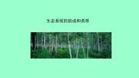 2021学年第七单元 生物与环境第二章 生态系统第一节 生态系统的组成和类型多媒体教学ppt课件