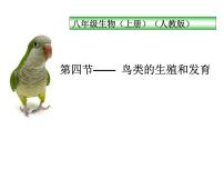 2020-2021学年第四节 鸟的生殖和发育备课课件ppt