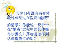 初中生物冀教版七年级下册第三节 物质运输的路线教学课件ppt