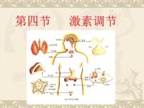 初中人教版 (新课标)第四单元 生物圈中的人第六章 人体生命活动的调节第四节 激素调节多媒体教学ppt课件