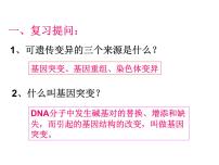 生物八年级下册第三节  遗传病与优生评课ppt课件