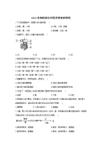 初中生物北师大版七年级下册第四单元 生物圈中的人第8章 人体的营养第2节 食物的消化和营养物质的吸收课时作业