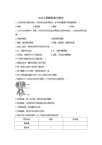 初中生物北师大版七年级下册第四单元 生物圈中的人第11章 人体代谢废物的排出第2节 尿的形成与排出课后测评
