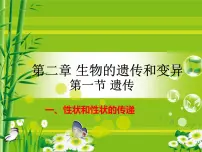 初中生物冀教版八年级下册第一节 遗传图文课件ppt