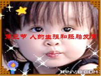 初中生物冀教版八年级下册第三节  人的生殖和胚胎发育课文配套ppt课件