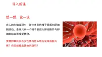 人教版 (新课标)七年级下册第二节 人的生殖说课ppt课件