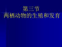 初中生物人教版 (新课标)八年级下册第三节 两栖动物的生殖和发育教学演示课件ppt