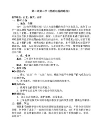 冀教版七年级下册第三节 物质运输的路线教案及反思