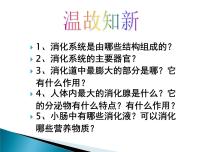 2020-2021学年第三节 营养物质的吸收和利用教课课件ppt