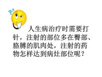 冀教版七年级下册第三节 物质运输的路线课堂教学课件ppt