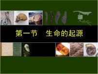 初中生物冀教版八年级下册第一节  生命的起源课文内容课件ppt