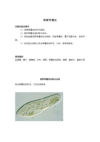 初中生物苏教版七年级实验操作题库-04观察草履虫